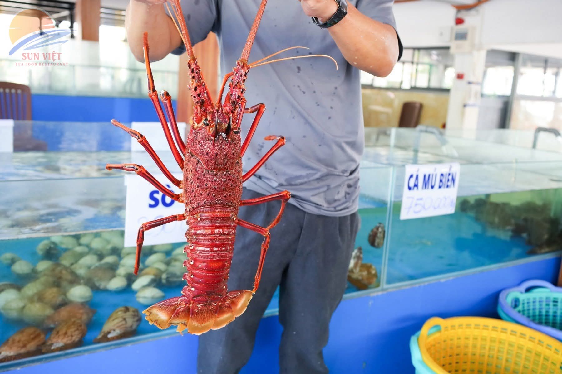 Nhà hàng hải sản TH-68 Phú Quốc - Hải sản tươi sống, không gian đẹp và Gala Dinner