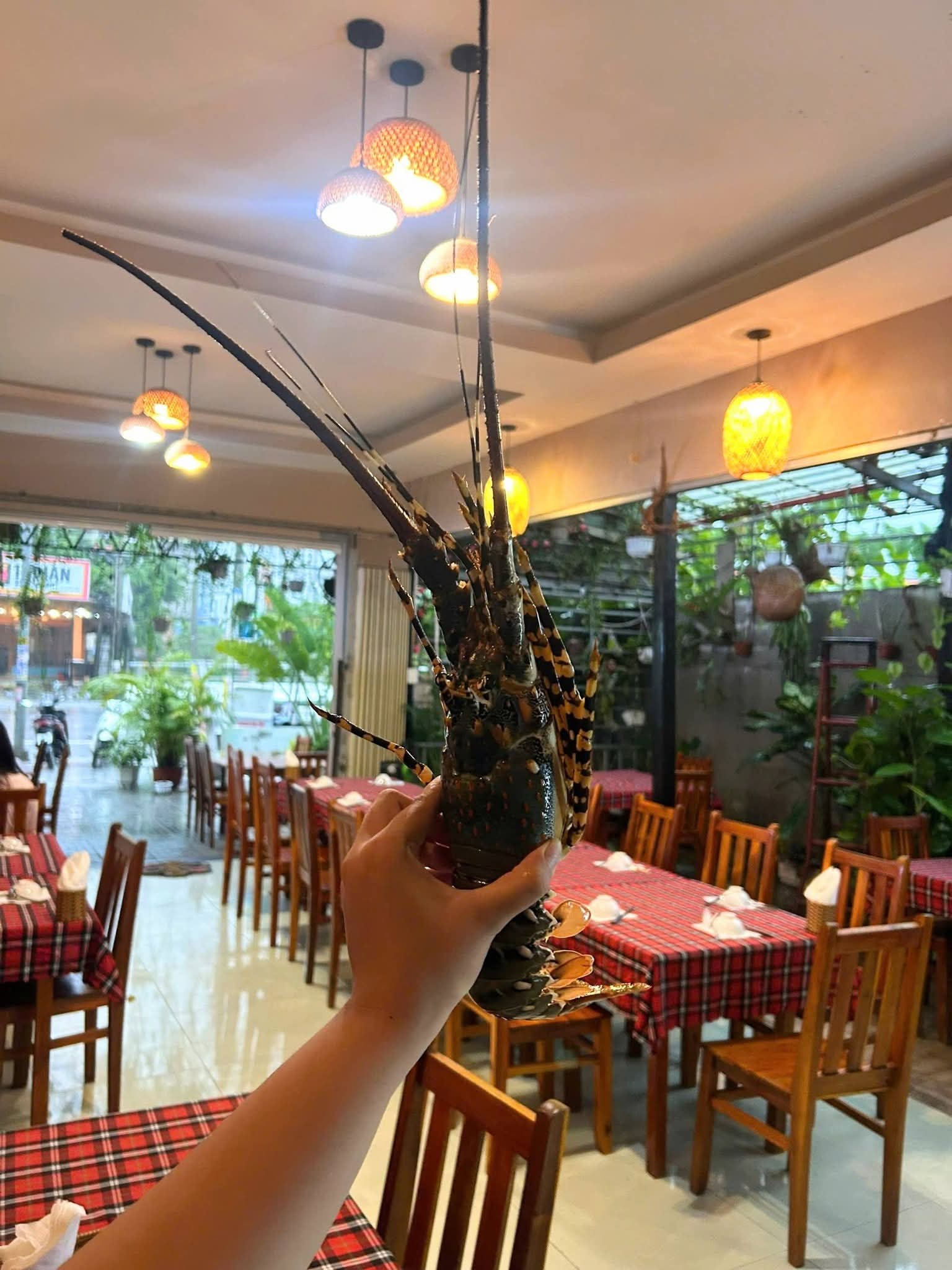 Bếp nhà Sunny Phú Quốc - Thưởng thức hải sản tươi sống, chế biến theo yêu cầu