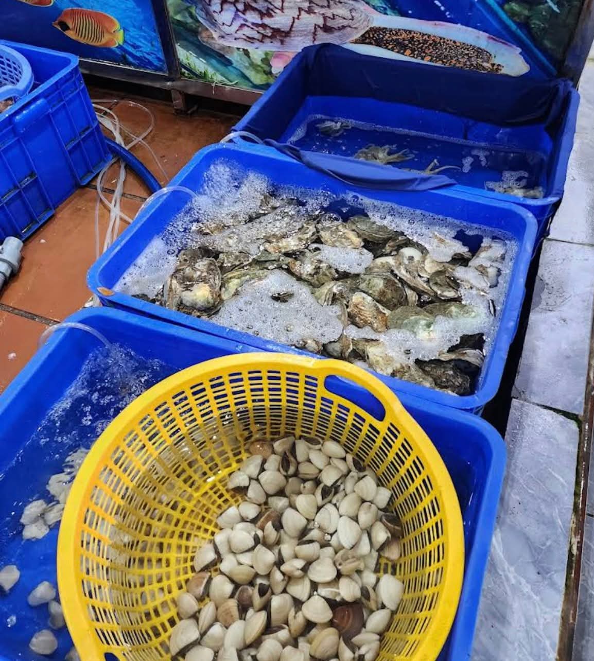 Nhà hàng Bé Ghẹ An Thới - Hải sản tươi sống trên đường Nguyễn Văn Cừ, Phú Quốc