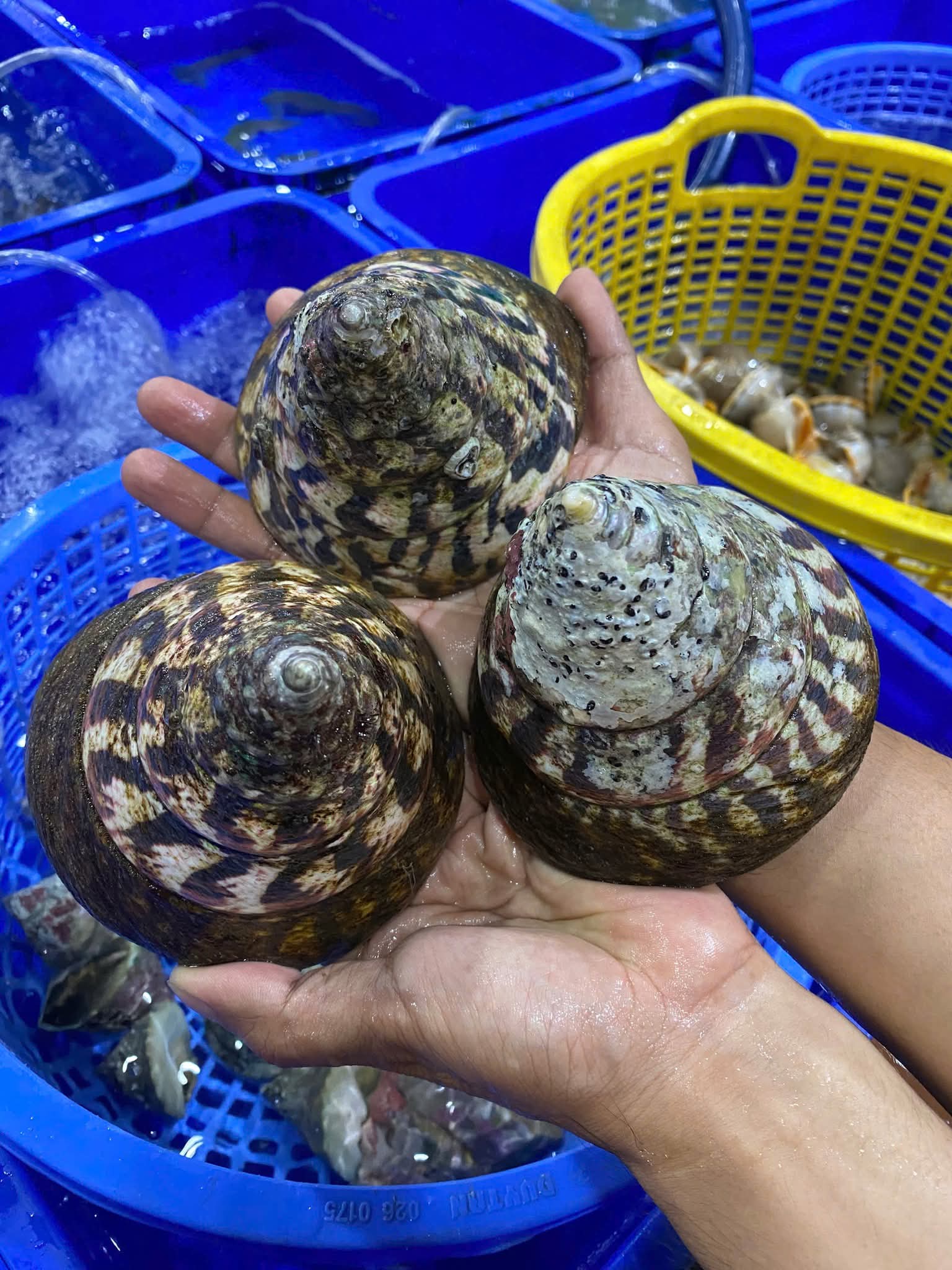 Nhà hàng Bé Ghẹ An Thới - Hải sản tươi sống trên đường Nguyễn Văn Cừ, Phú Quốc