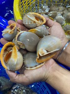 Nhà hàng Bé Ghẹ An Thới - Hải sản tươi sống trên đường Nguyễn Văn Cừ, Phú Quốc