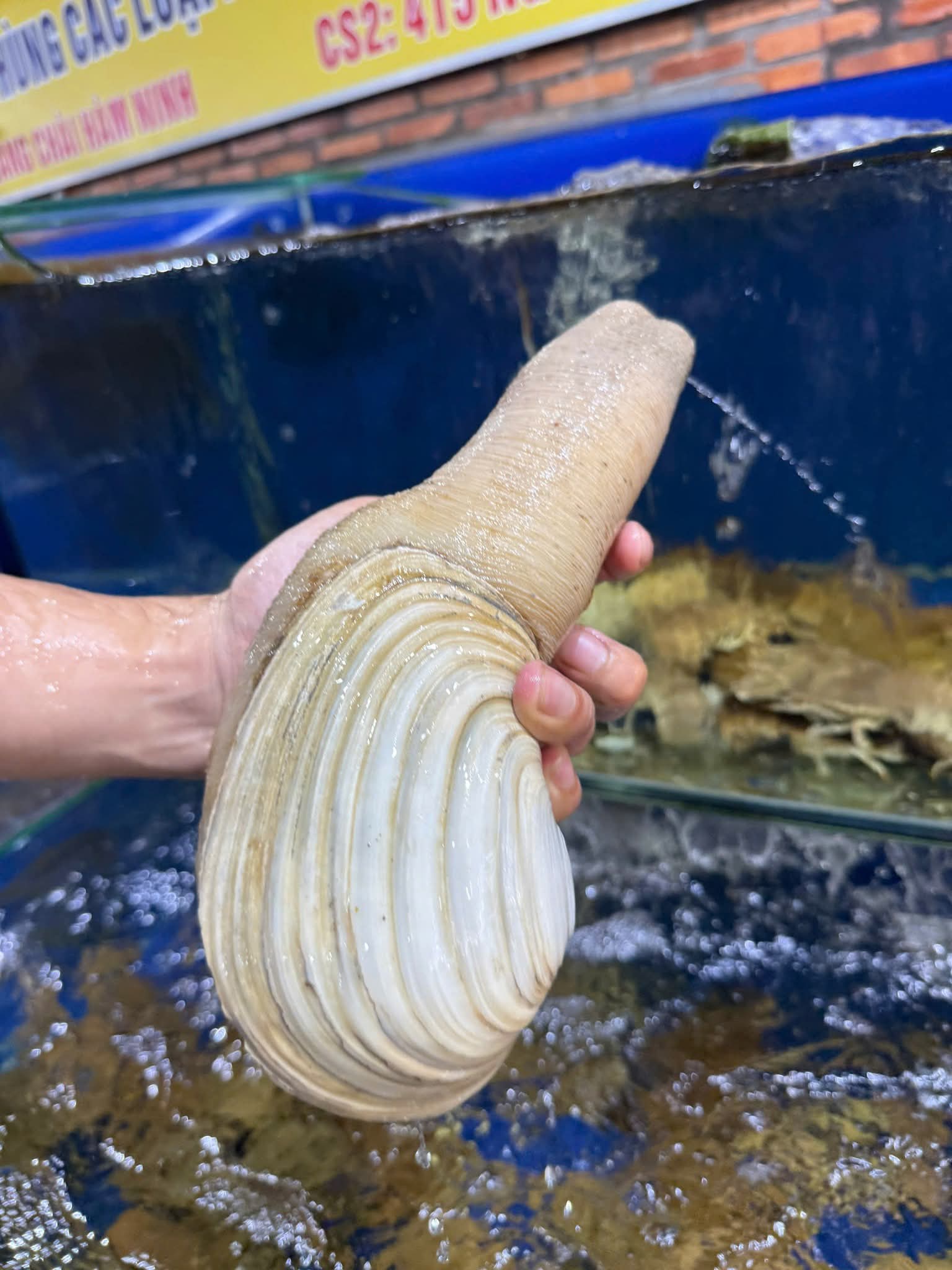 Nhà hàng Bé Ghẹ An Thới - Hải sản tươi sống trên đường Nguyễn Văn Cừ, Phú Quốc