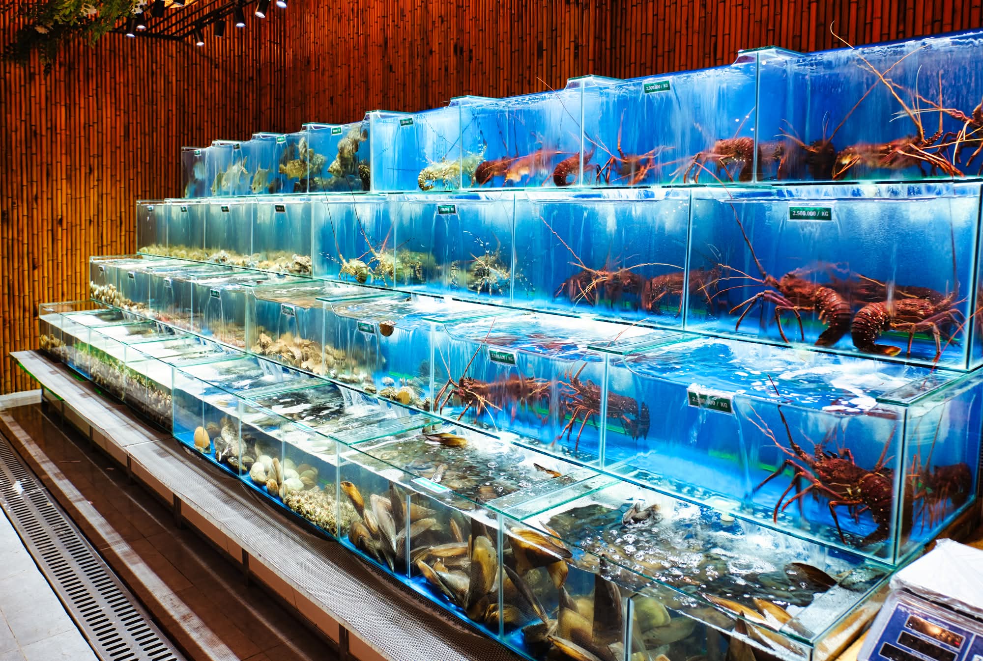Nhà hàng hải sản Mai Hương tại Grand World - Hải sản tươi ngon giữa thiên đường giải trí Phú Quốc